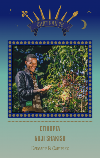 Ethiopia Shakiso Guji
