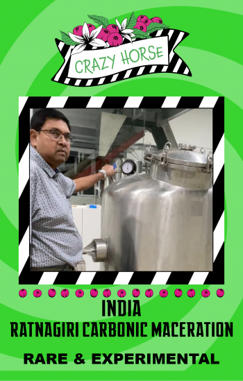 India Ratnagiri Carbonic Maceration