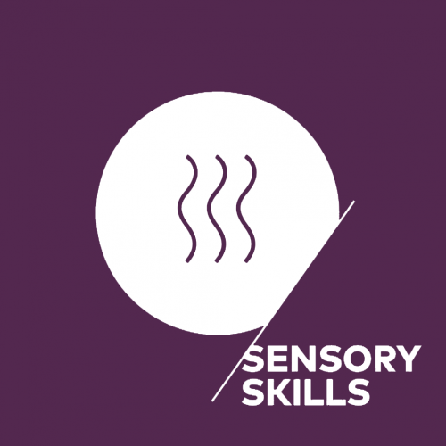 sensory square